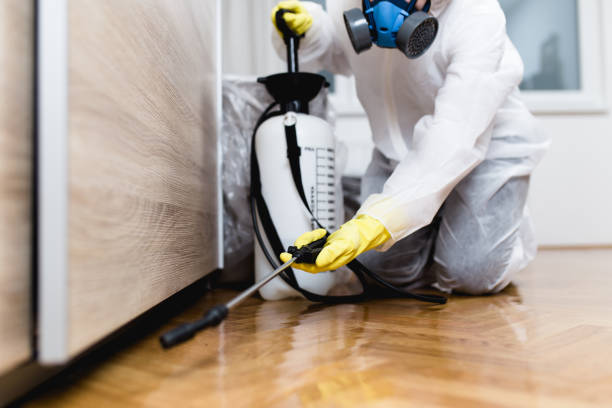 Trusted Melody Hill, IN Pest Control Experts