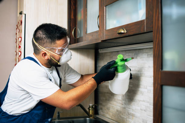 Insect Control in Melody Hill, IN