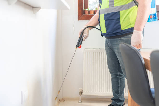Best Wasp Removal Services  in Melody Hill, IN