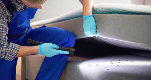 Best Pest Control Near Me  in Melody Hill, IN