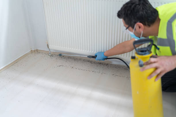 Wasp Removal Services in Melody Hill, IN